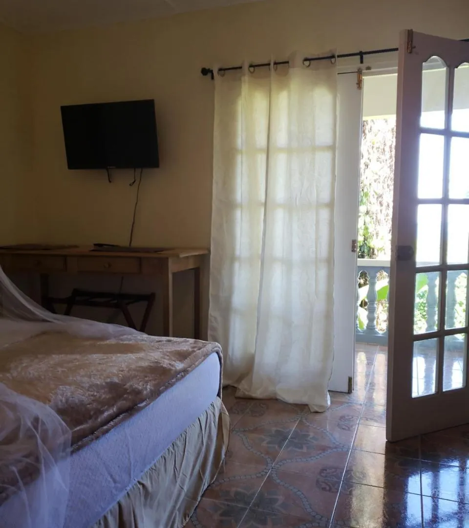 Viva Violas Port Antonio Hostel