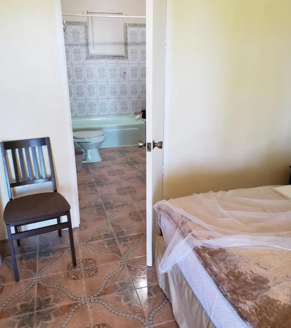Viva Violas Port Antonio Hostel
