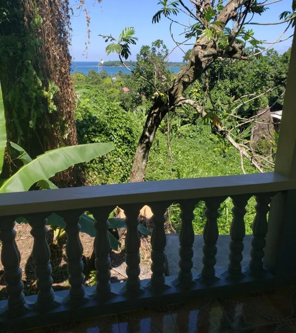 Hostel Viva Violas Port Antonio