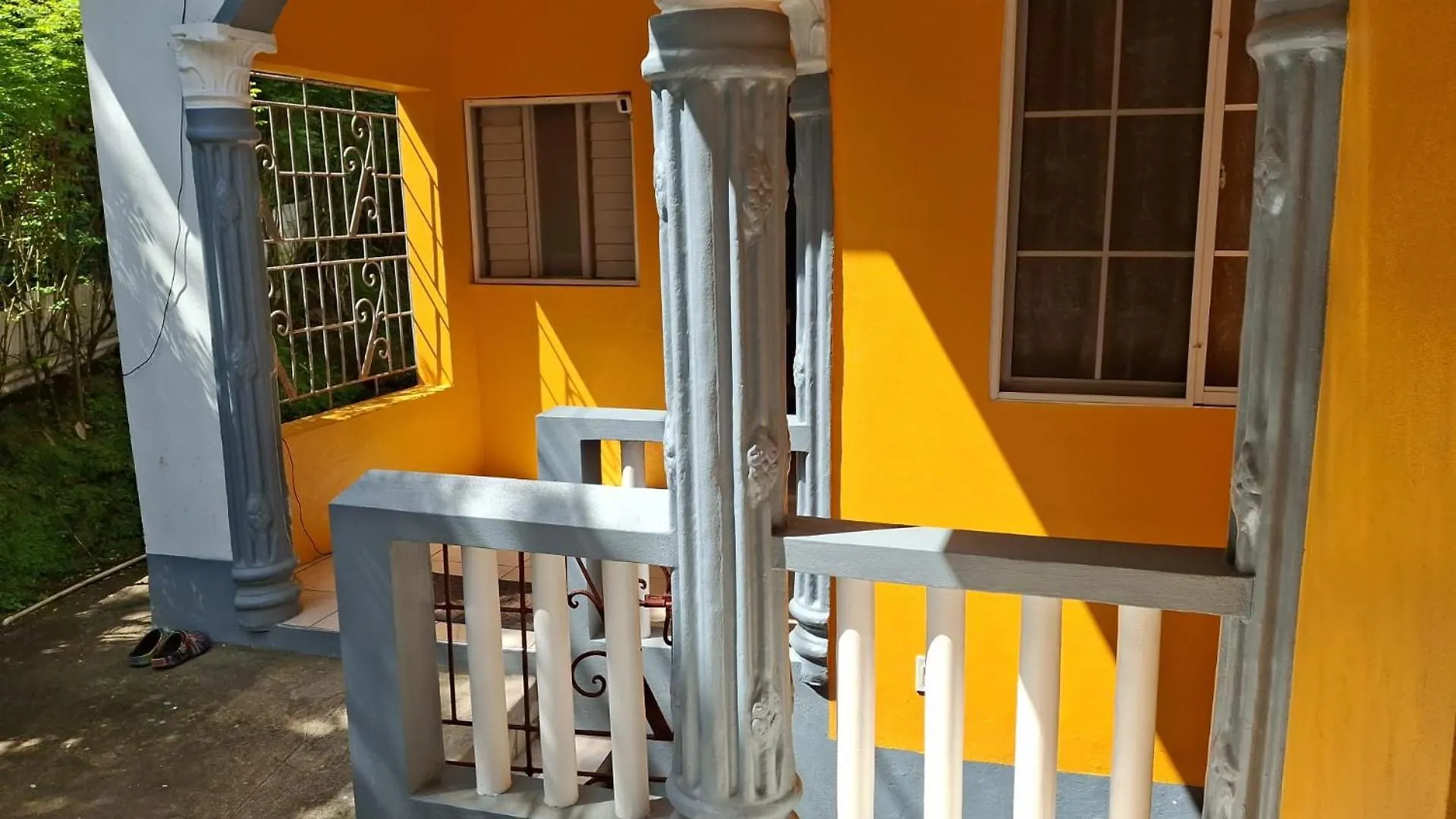 Viva Violas Port Antonio Hostel
